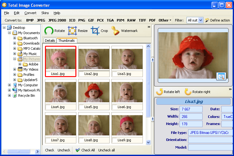 convert nef to jpg batch free